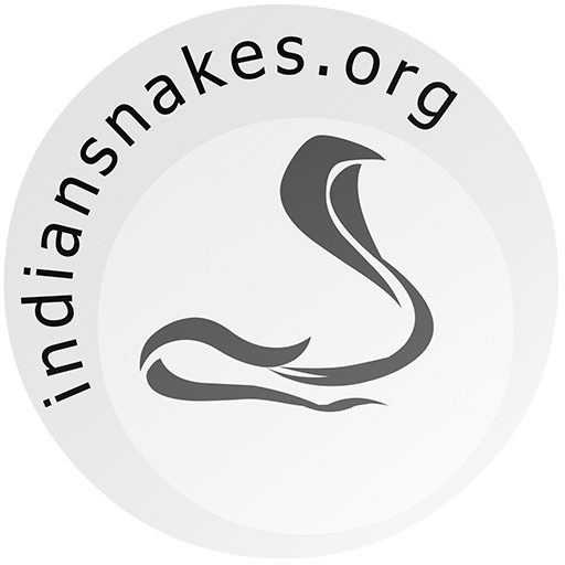 Indian Snakes