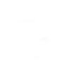 Step Icon